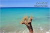exofilo Samos